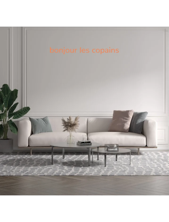 Custom text: bonjour les copains
