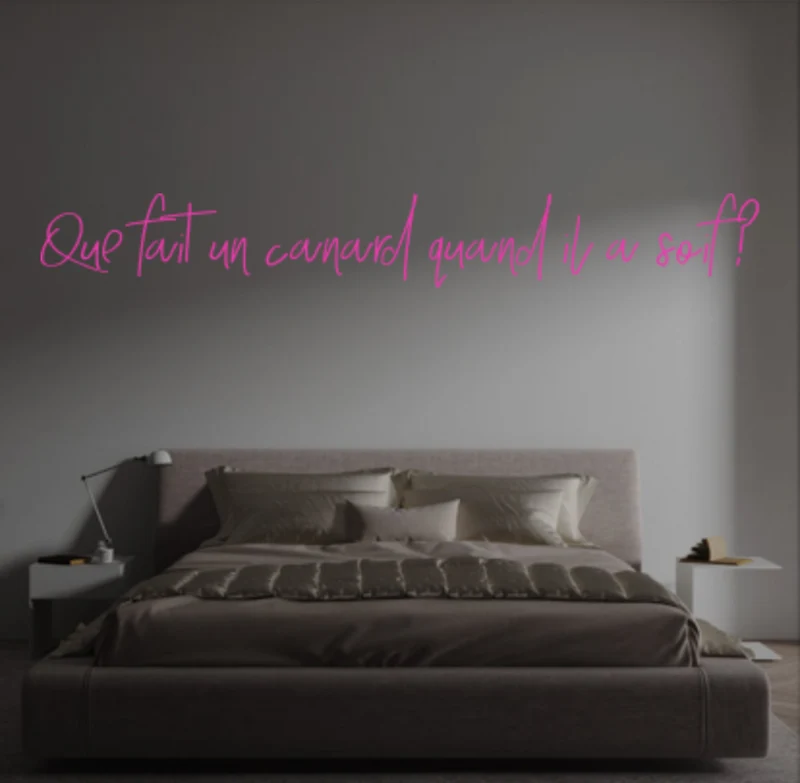 Custom text: Que fait un canard quand il a soif ?