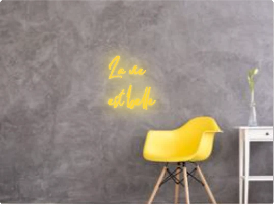 Custom text: La vie est belle