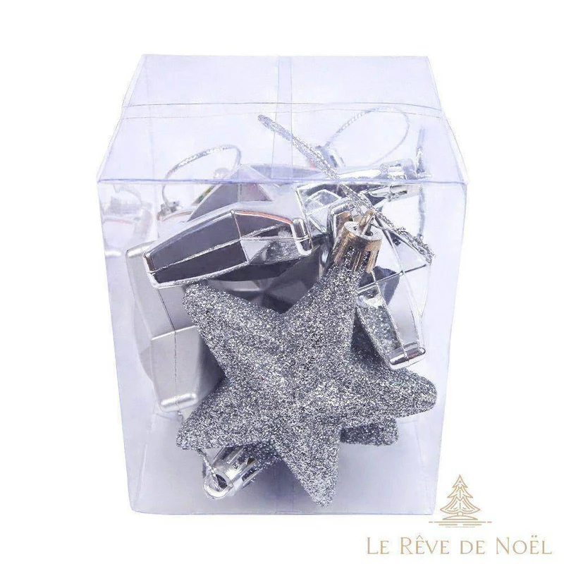 Étoiles de noël : Argent