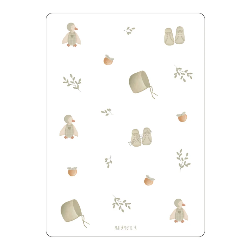 Carte/Card "Naissance Canard Sauge"