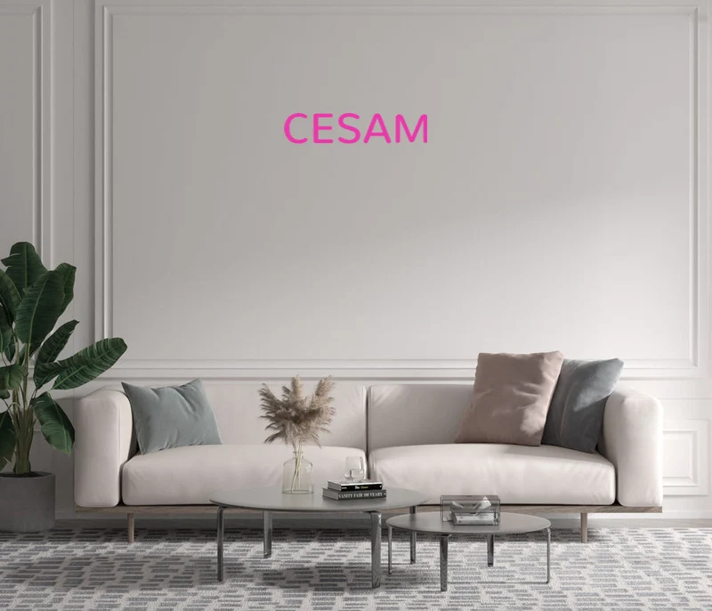 Custom text: CESAM