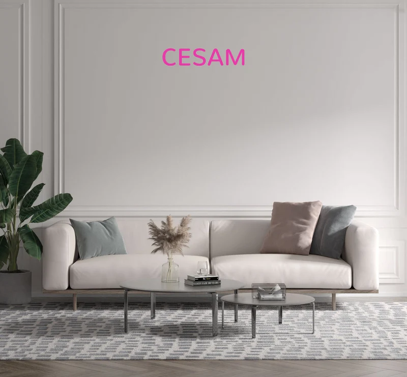 Custom text: CESAM