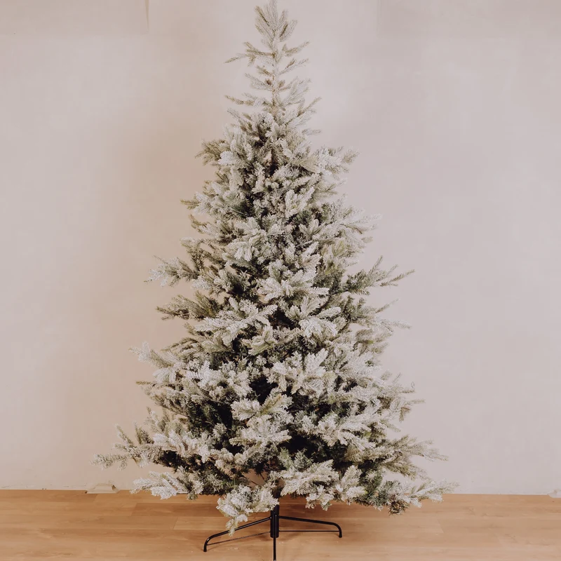 Sapin Norman floqué