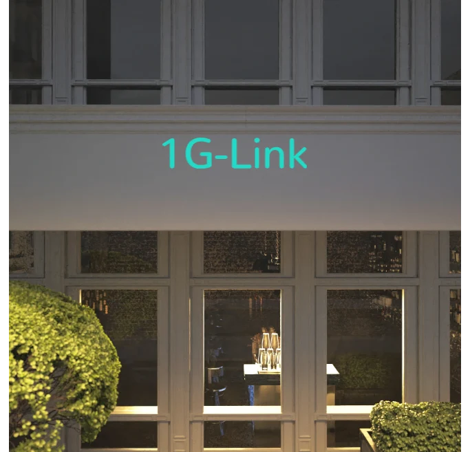 Custom text: 1G-Link