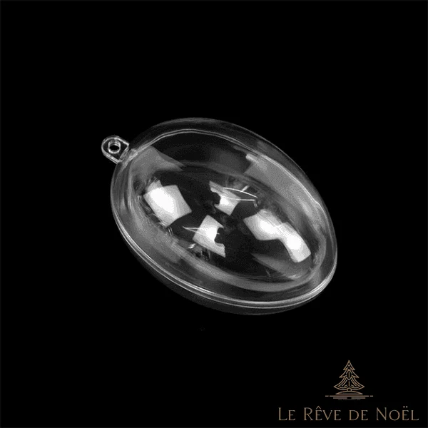 Oeuf en plastique transparent en deux parties