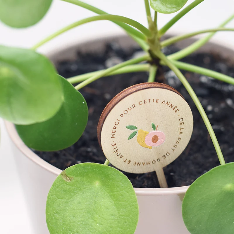 Pique pour petite plante Fin d'année citron