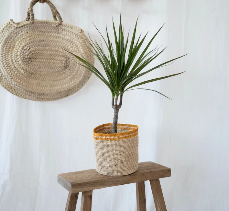 Cache-pot raphia Maho