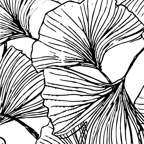 Vinyle Gingko Noir 42x44,5 cm