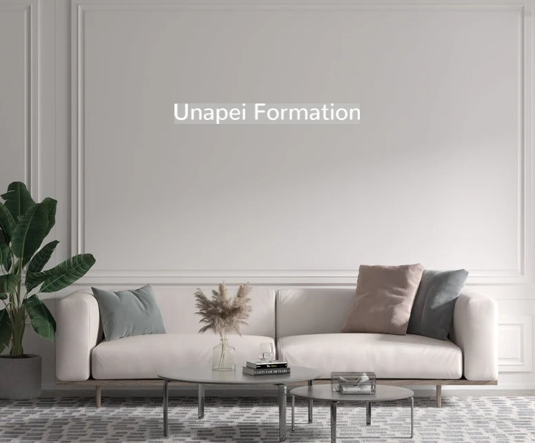 Custom text: Unapei Formation
