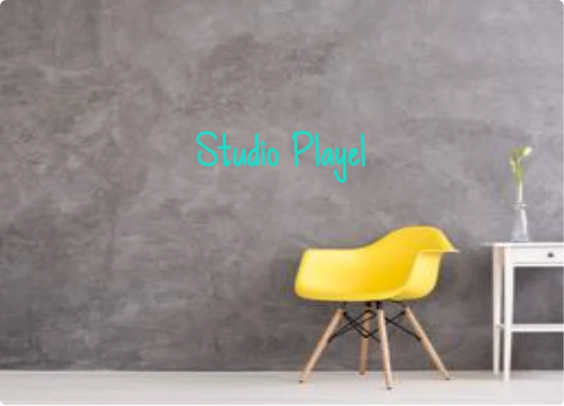 Custom order: Studio Playel