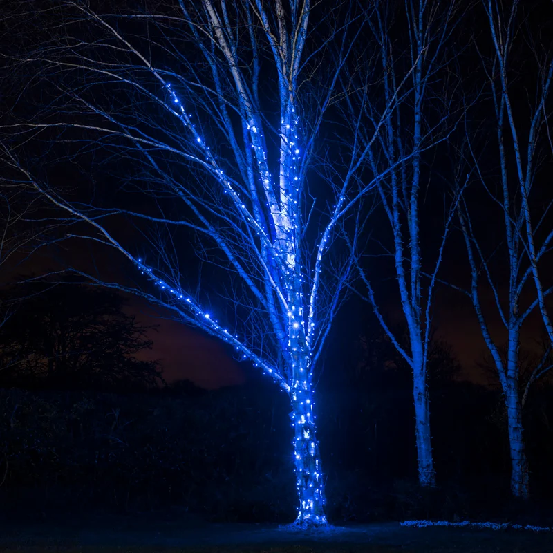 Guirlande Lumineuse Pro Connect IP67, 120m 1200 LED Bleue Câble Noir Raccordable