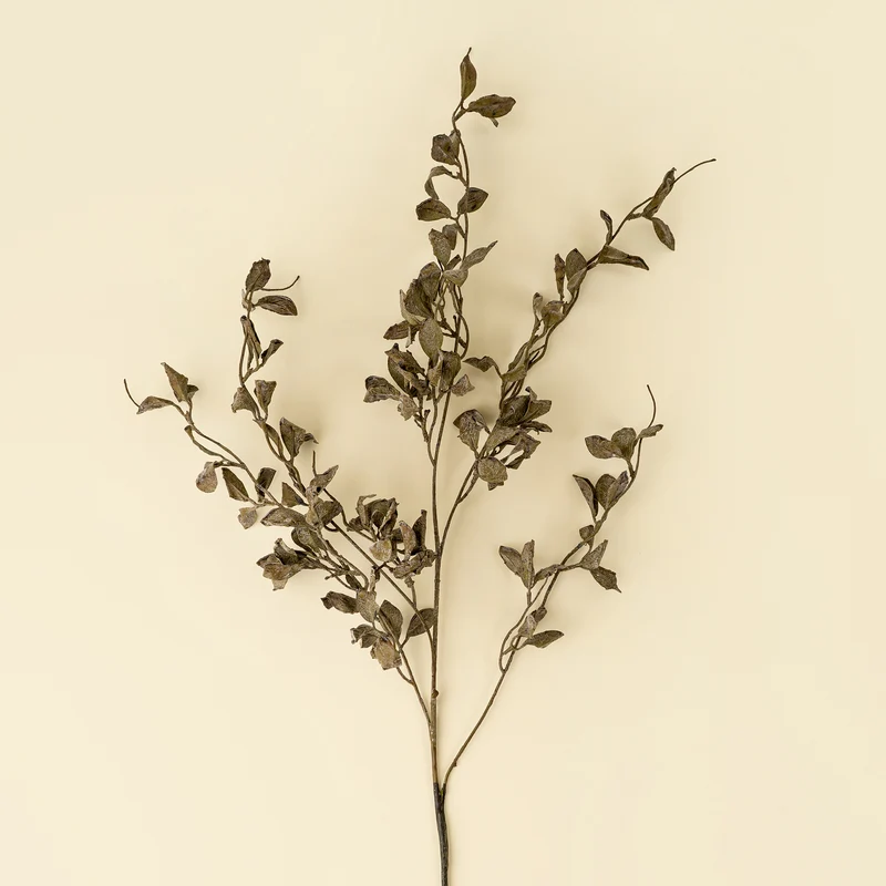 Tige d'eucalyptus fumé