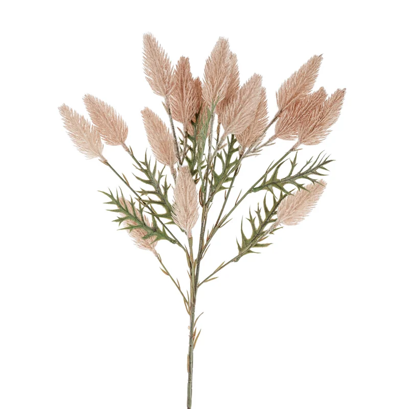 Branche de queue de lièvre - Naturel