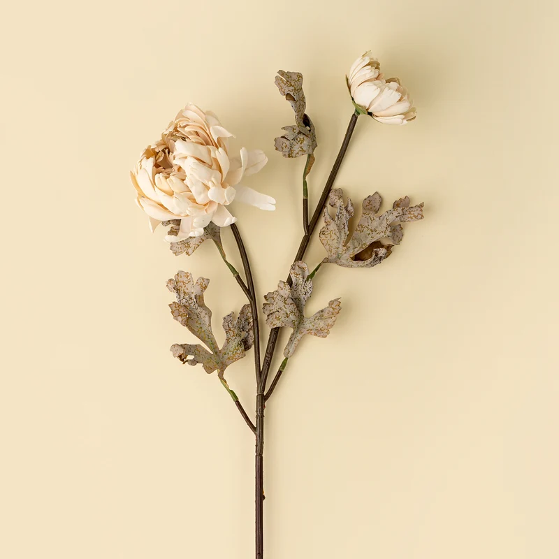 Tige de fleurs de Dahlia - Crème