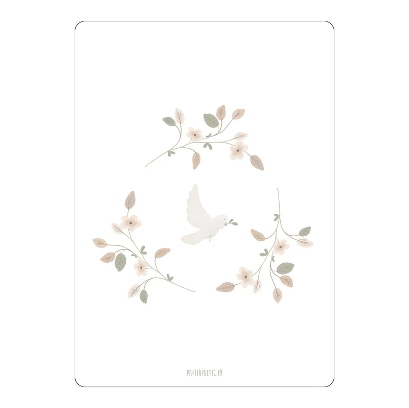 Carte Postale / Card "Colombe"