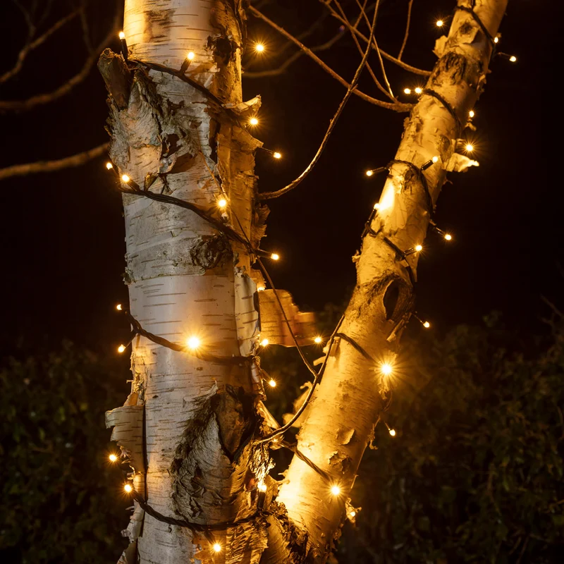 Guirlande Lumineuse IP67 Pro Connect Raccordable de 5 m à 50 LED Blanc Chaud Effet Scintillant