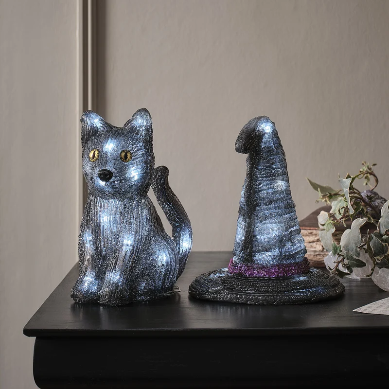 Lot de Chapeau et Chat de Sorcière 3D en Acrylique à LED Blancs