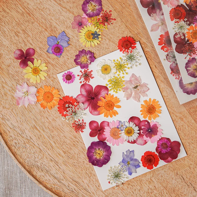 Pochette Fleurs pressées multicolores
