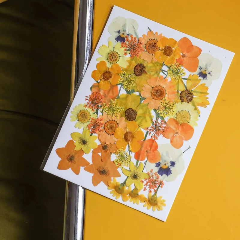 Pochette Fleurs pressées jaunes