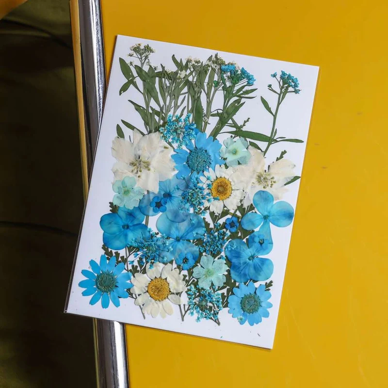 Pochette Fleurs pressées bleues
