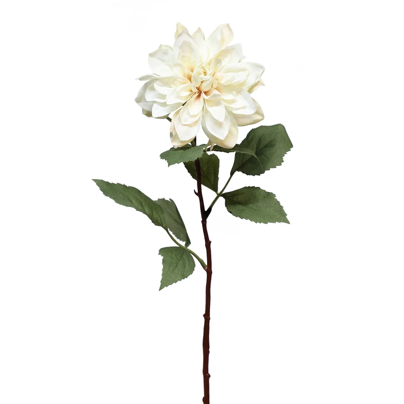 Tige de dahlia - Crème