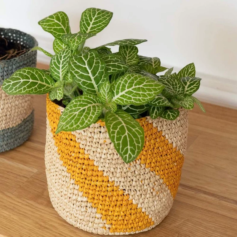 Cache-pot raphia Sarika