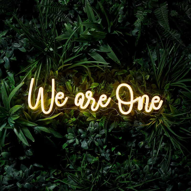 Enseigne Lumineuse Néon “We Are One”