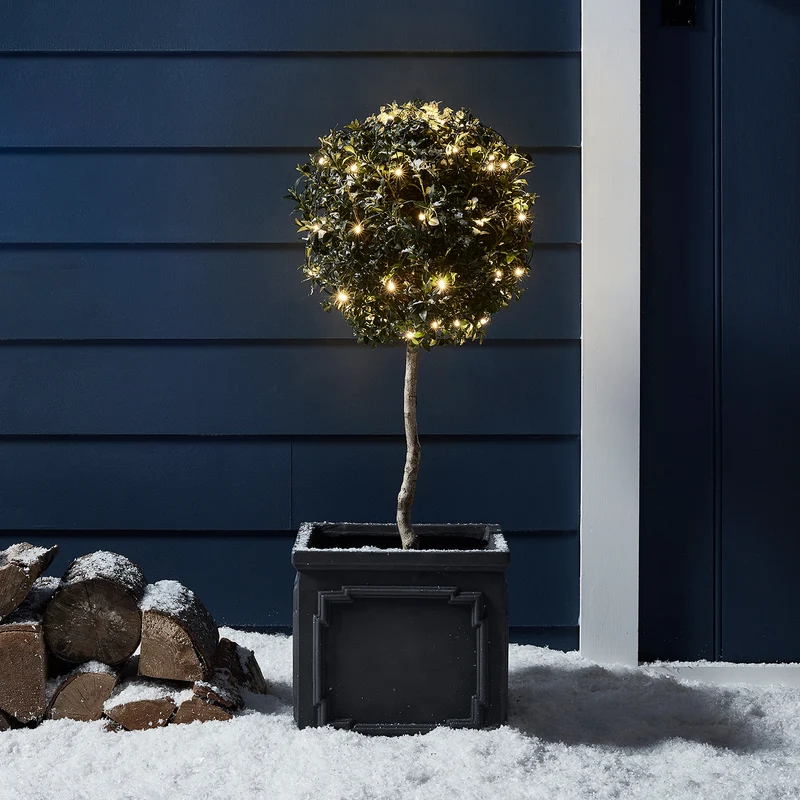 Guirlande Lumineuse à Piles 50 LED Blanc Chaud sur Câble Vert Foncé