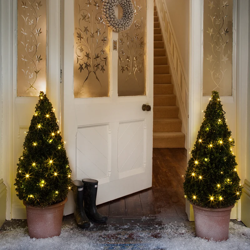 Guirlande Lumineuse à Piles 100 LED Blanc Chaud sur Câble Vert Foncé