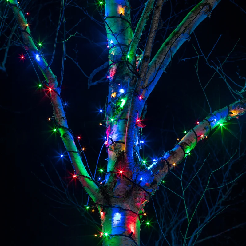 Guirlande Lumineuse Pro Connect IP67, 180m 1800 LED Multicolore Câble Noir Raccordable