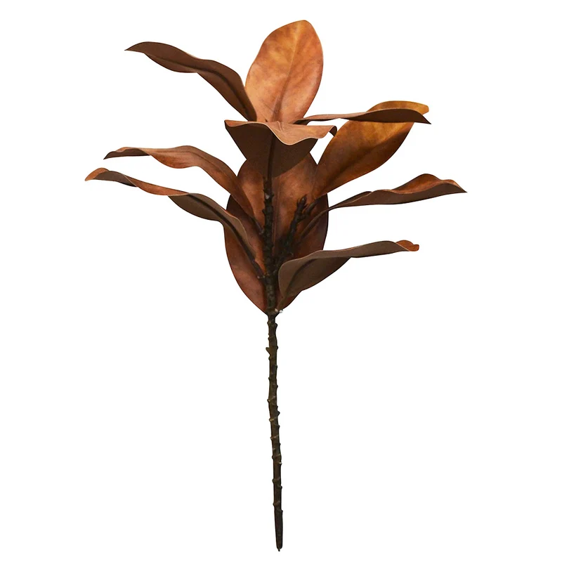 Feuilles de Magnolia - Rouille