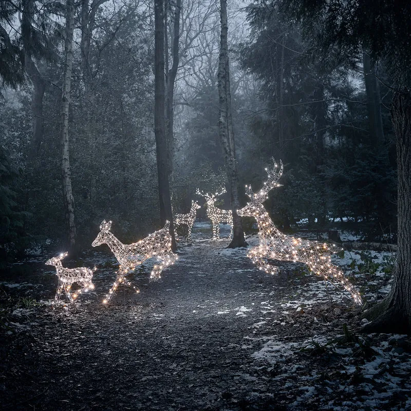 Famille de Rennes de Noël Harlow en Rotin à LED Bicolore