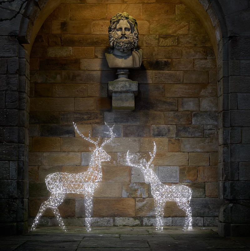Duo de Rennes Lumineux Duchy à LED Bicolores