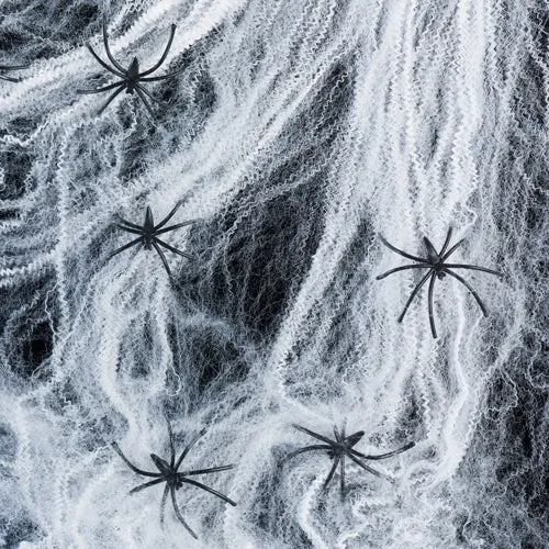 2 Toiles d'Araignée Décoratives Blanches et 12 Araignées