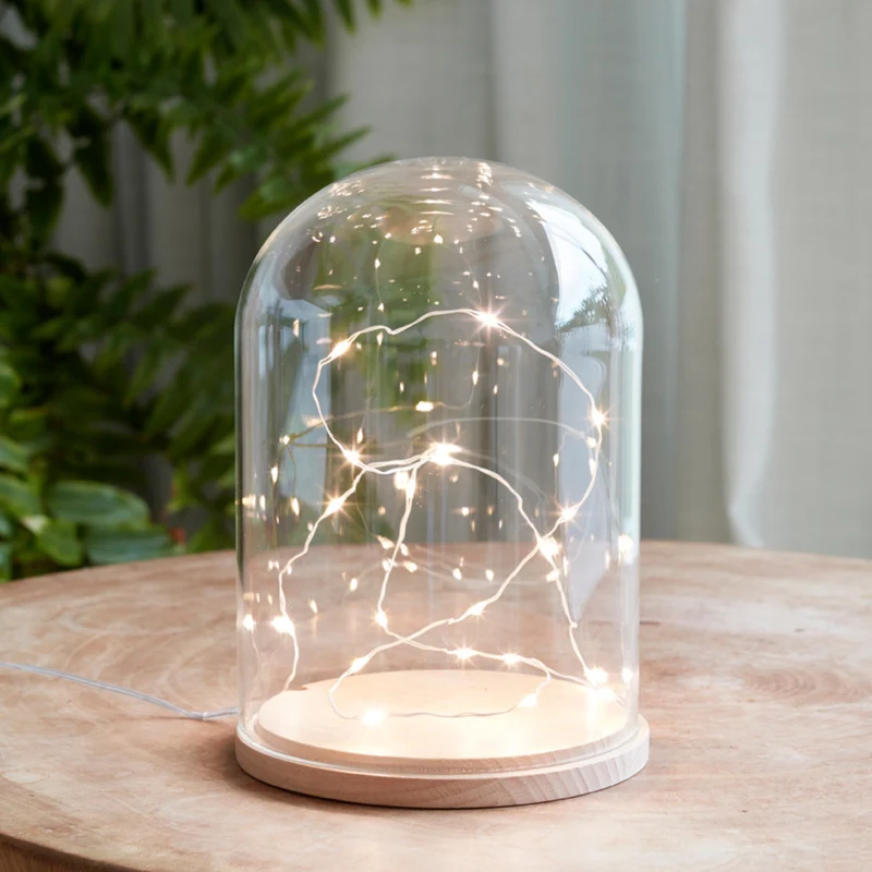 Cloche en Verre Minimaliste avec 20 Micro LED