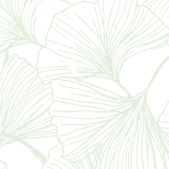 Vinilo 50x230cm Gingko Pistacho