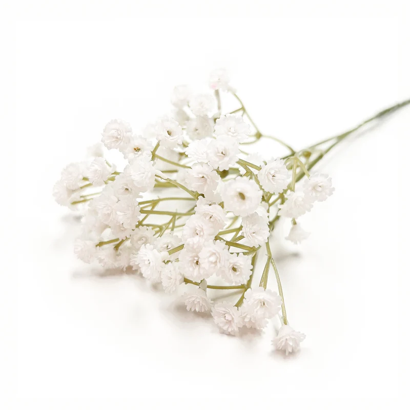 Branche d'allium - Blanc