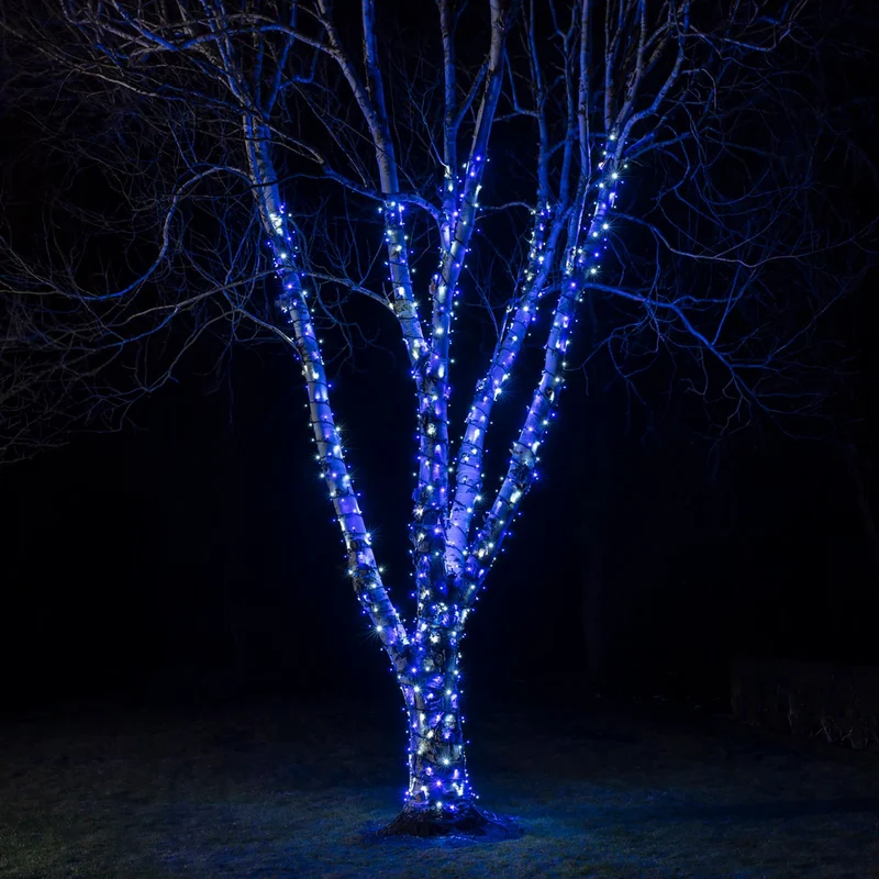 Guirlande Lumineuse Pro Connect 195m 1950 LED Bleue et Blanche Câble Noir Raccordable