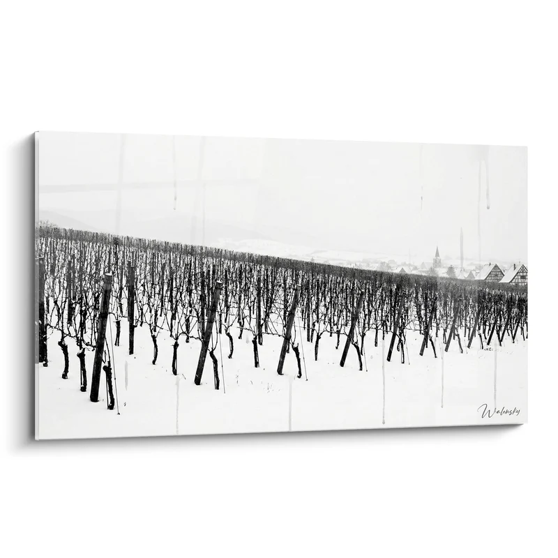 Tableau Vignoble Alsacien Hiver - Rangées de Vignes sous la Neige - Edition Alsace