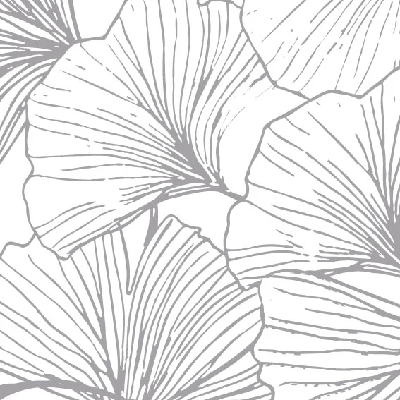 Vinyle Gingko Gris 50x100 cm