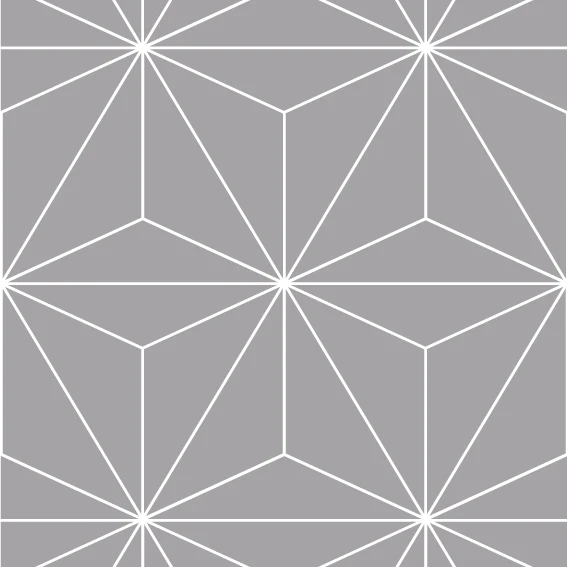 Vinilo Gris Tokio 50x75 cm