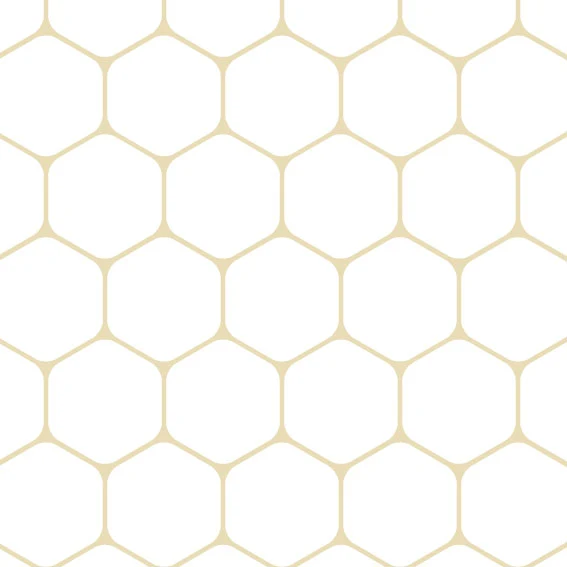 100x100 cm BEIGE HIVE WITH WHITE BACKGROUND