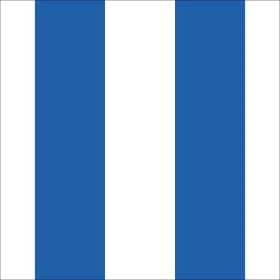 100x100 cm Vinyl Blue Lines
