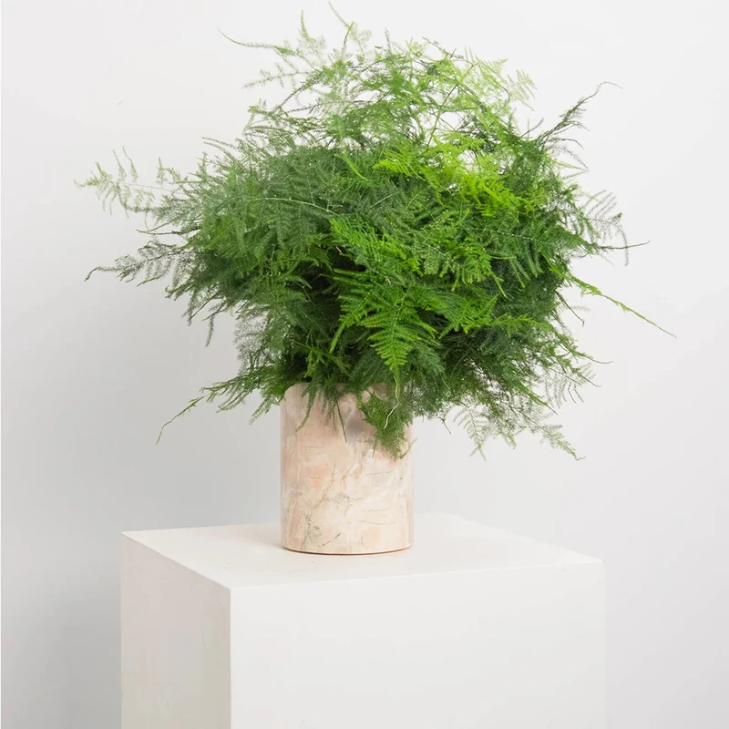 Vase en Onyx Rose