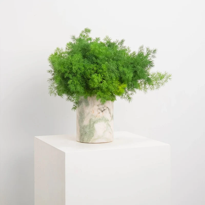 Vase en Onyx Blanc
