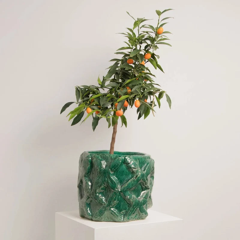 Cache-pot en Faïence Verte