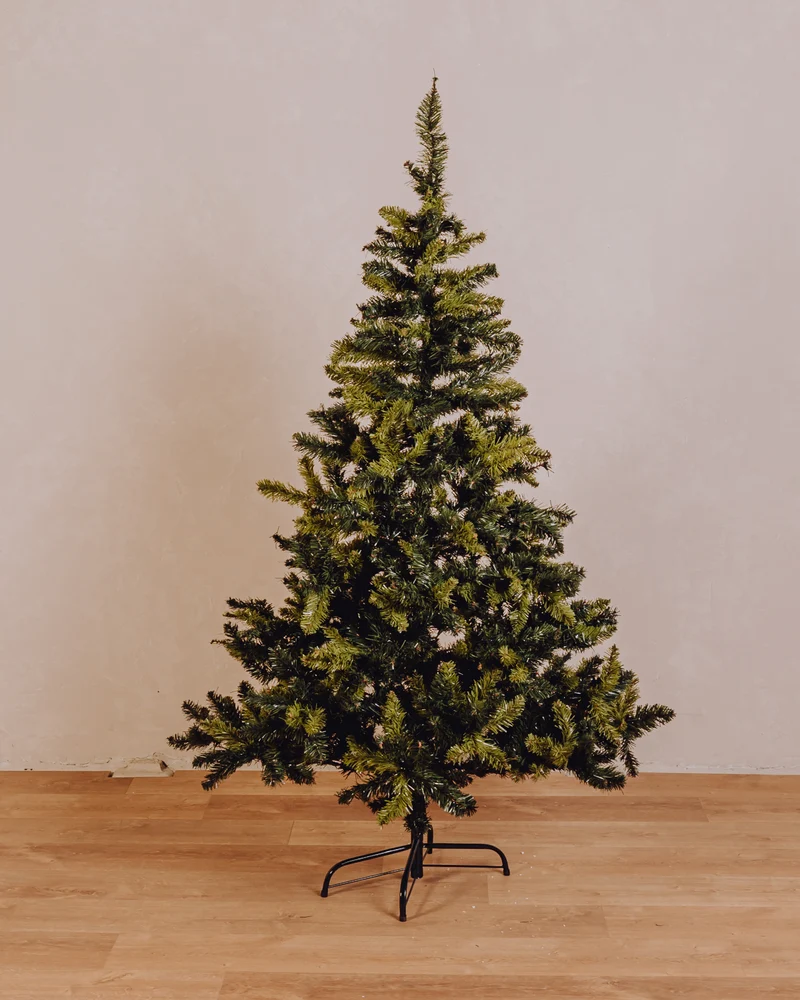 Sapin Cyprien 180 cm