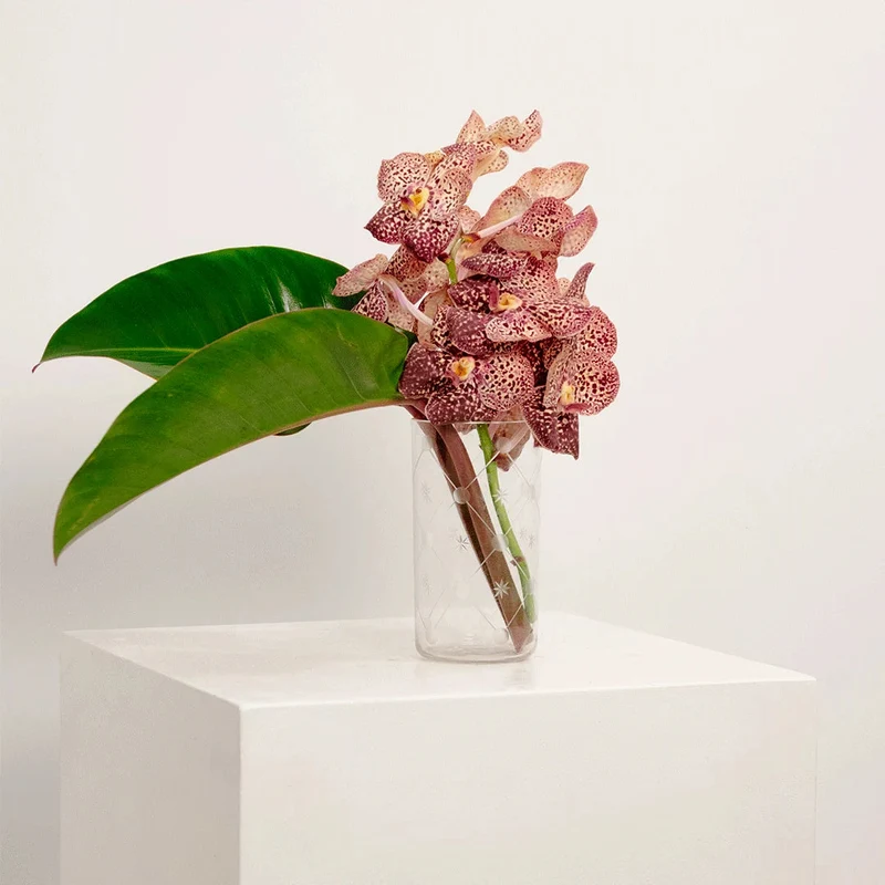 Vase Cylindrique à Décor Étoilé