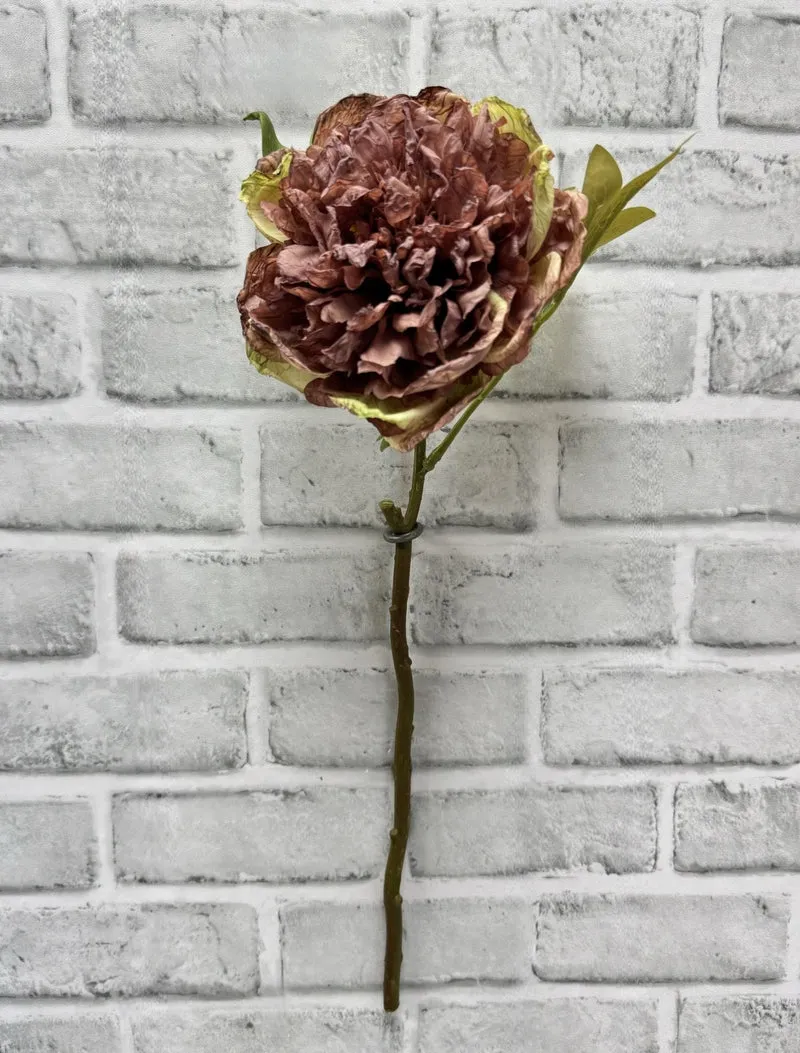 Pivoine anglaise séchée 19,5 po – Rose